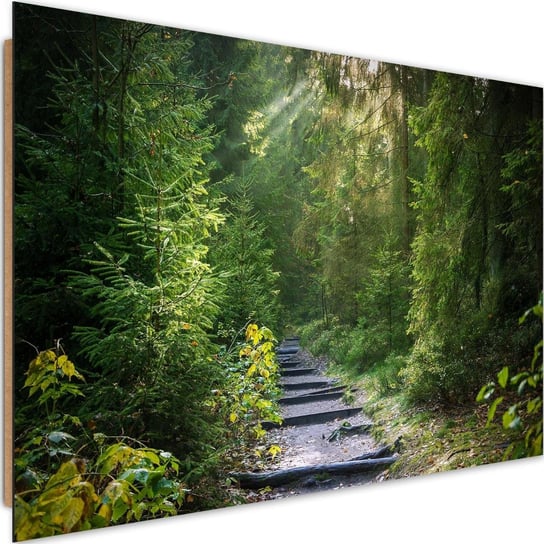 Obraz dekoracyjny FEEBY, Las zielony Krajobraz obraz 120x80 Feeby