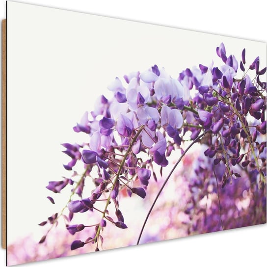 Obraz dekoracyjny FEEBY, Liliowy Kwiat Glicynii 120x80 Feeby