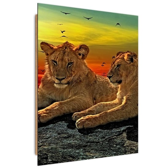 Obraz dekoracyjny FEEBY, Lwy Afryka Zwierzęta 60x80 Feeby