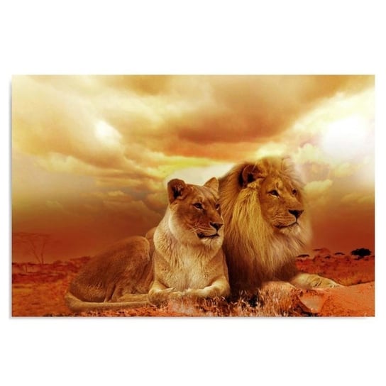 Obraz dekoracyjny FEEBY, Lwy Zwierzęta Afryka brązowy 40x30 Feeby