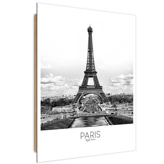 Obraz dekoracyjny FEEBY, Miasto Paryż Wieża Eiffla 40x60 Feeby