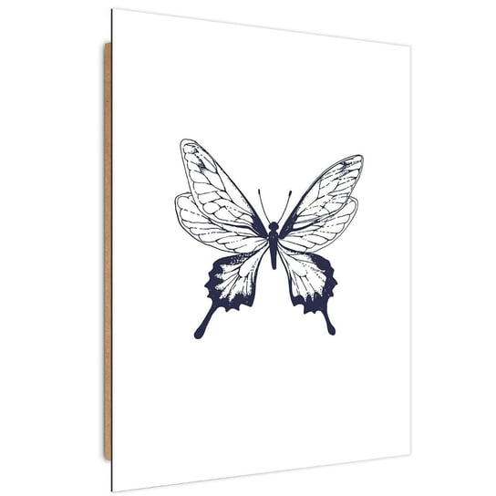 Obraz dekoracyjny FEEBY, Motyl Malowany Czarno Biały 80x120 Feeby