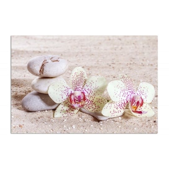 Obraz dekoracyjny FEEBY, Orchidea Kamienie Zen Spa 70x50 Feeby
