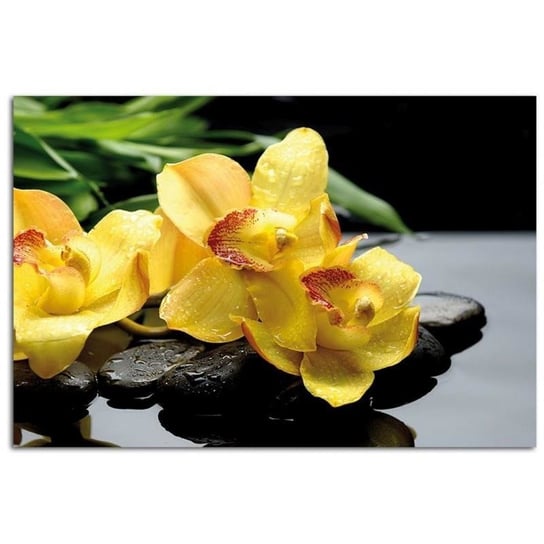 Obraz dekoracyjny FEEBY, Orchidea Żółty Kwiat 40x30 Feeby
