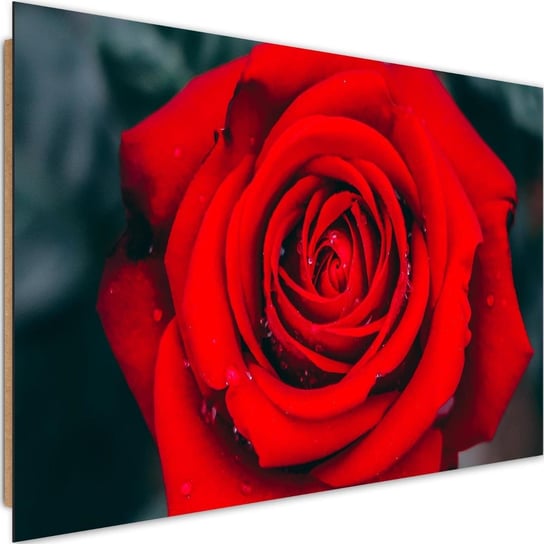 Obraz dekoracyjny FEEBY, Piękna Czerwona Róża Kwiat 90x60 Feeby