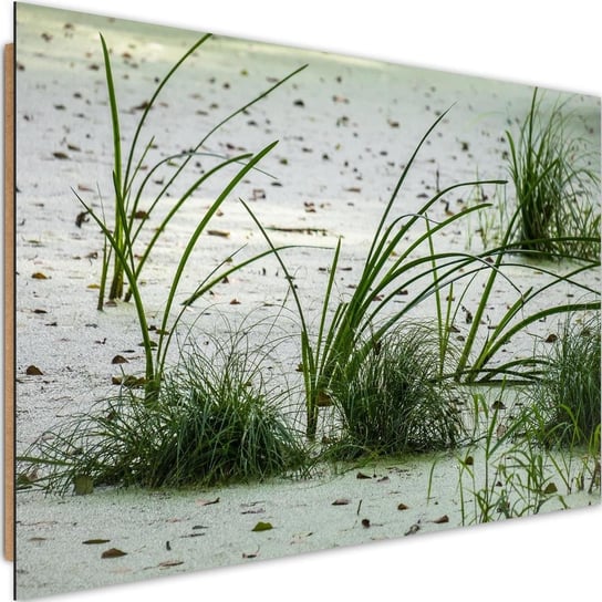 Obraz dekoracyjny FEEBY, Plaża piasek trawa zielona 60x40 Feeby