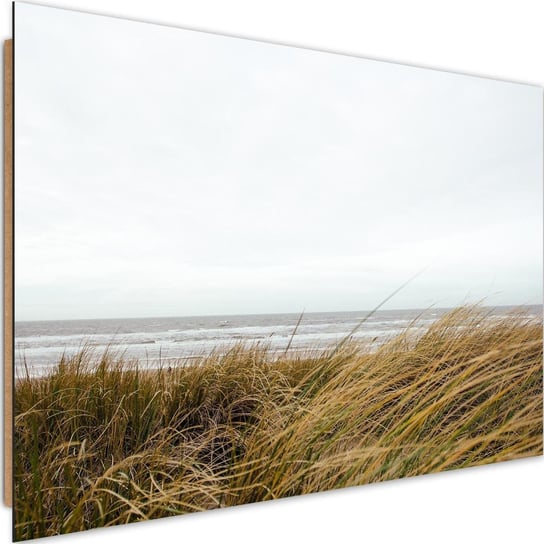 Obraz dekoracyjny FEEBY, Plaża Trawa Natura Wydmy 120x80 Feeby