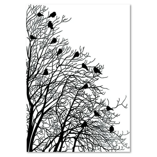 Obraz dekoracyjny FEEBY, Ptaki Gałęzie Czarno Biały 60x80 Feeby