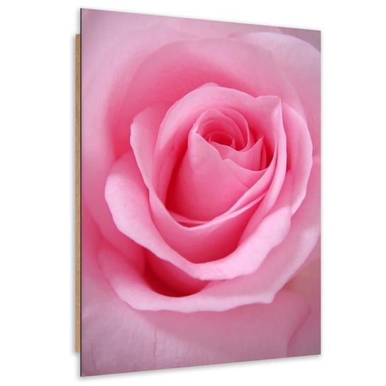 Obraz dekoracyjny FEEBY, Róża Kwiat roślina różowy 60x90 Feeby