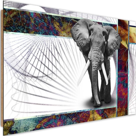 Obraz dekoracyjny FEEBY, Słoń Zwierzęta 60x40 Feeby