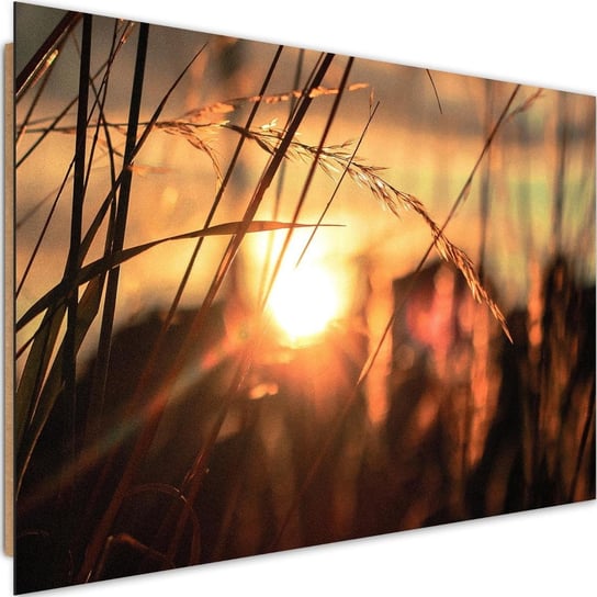Obraz dekoracyjny FEEBY, Trawa Zachód Słońca Natura 60x40 Feeby