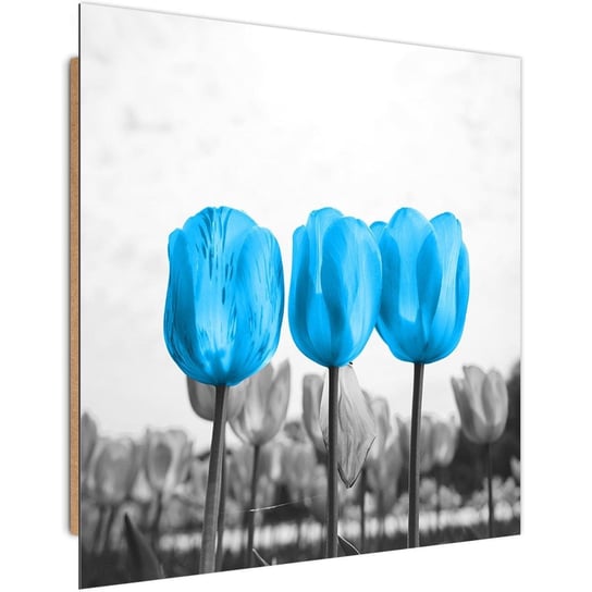 Obraz dekoracyjny FEEBY, Trzy Tulipany Natura 90x90 Feeby