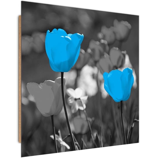 Obraz dekoracyjny FEEBY, Tulipan Niebieski Natura 60x60 Feeby