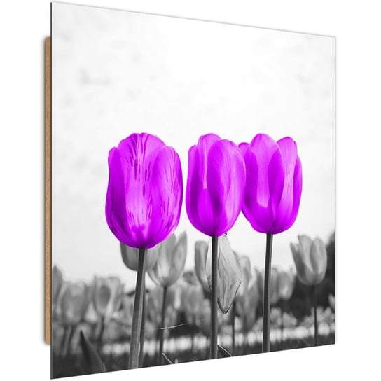 Obraz dekoracyjny FEEBY, Tulipany Łąka Natura Kwiat 40x40 Feeby