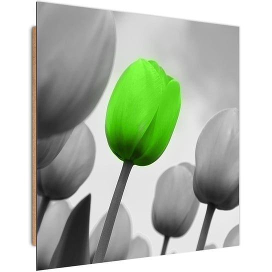 Obraz dekoracyjny FEEBY, Tulipany Zielony Szary 90x90 Feeby
