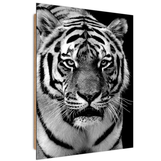 Obraz dekoracyjny FEEBY, Tygrys Afryka Czarno Biały 20x30 Feeby
