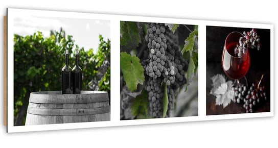 Obraz dekoracyjny FEEBY, Wino i Winogrona, Liście 120x40 Feeby