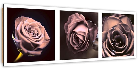 Obraz dekoracyjny FEEBY, Zestaw Róże Panorama 140x45 Feeby