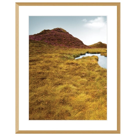Obraz DEKORIA Grassy Field I, brązowo-biały, 40x50 cm Dekoria