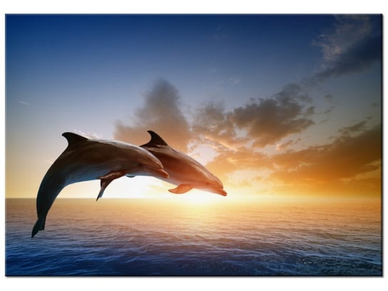 Obraz Delfiny, 100x70 cm Oobrazy