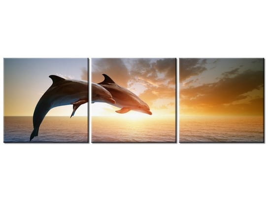 Obraz Delfiny, 3 elementy, 120x40 cm Oobrazy