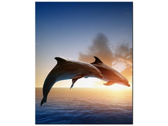 Obraz Delfiny, 60x75 cm Oobrazy