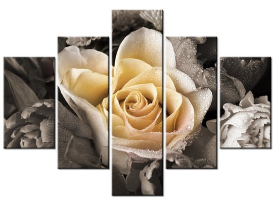 Obraz, Delikatna róża, 5 elementów, 100x70 cm Oobrazy