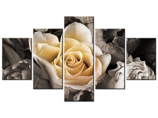 Obraz, Delikatna róża, 5 elementów, 125x70 cm Oobrazy