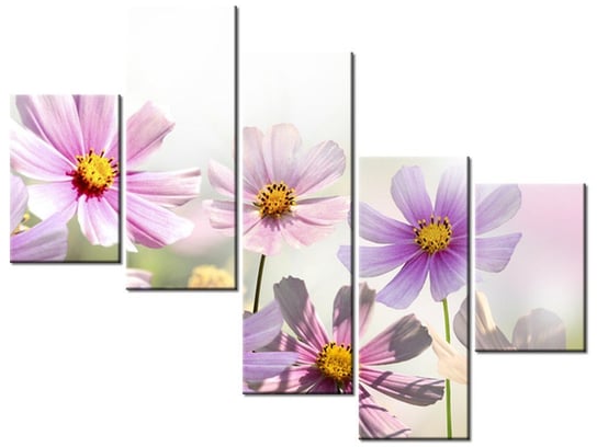 Obraz Delikatne kwiaty, 5 elementów, 100x75 cm Oobrazy