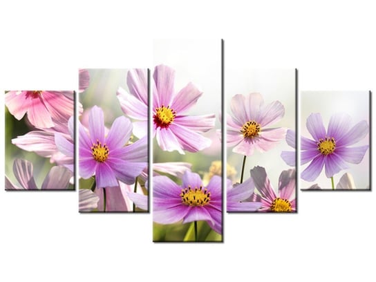 Obraz Delikatne kwiaty, 5 elementów, 125x70 cm Oobrazy