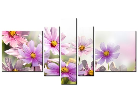 Obraz Delikatne kwiaty, 5 elementów, 160x80 cm Oobrazy