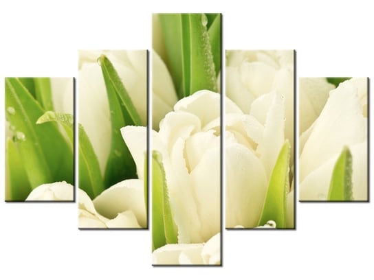 Obraz, Delikatne tulipany, 5 elementów, 100x70 cm Oobrazy