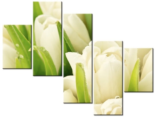 Obraz Delikatne tulipany, 5 elementów, 100x75 cm Oobrazy