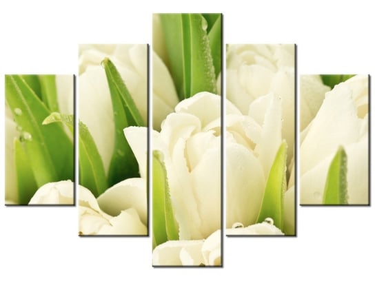 Obraz, Delikatne tulipany, 5 elementów, 150x105 cm Oobrazy