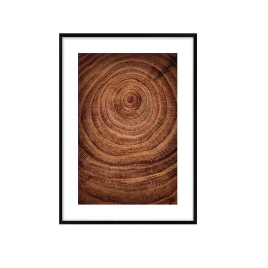Obraz DENVER ze słojami drewna 70,8x50,8cm Knor