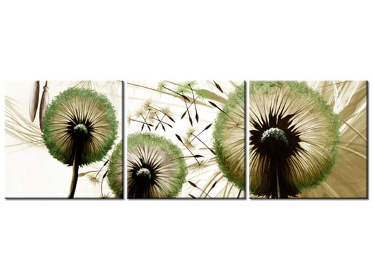 Obraz, Dmuchawce w zieleni, 3 elementy, 150x50 cm Oobrazy