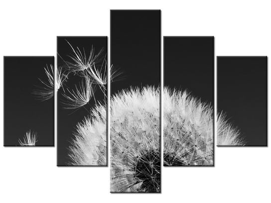 Obraz Dmuchawiec-Gemma Stiles, 5 elementów, 100x70 cm Oobrazy