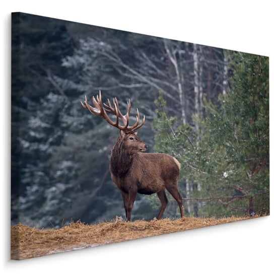 Obraz do Biura JELEŃ Las Drzewa Pejzaż Natura Zwierzęta 3D 30cm x 20cm Muralo