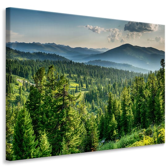 Obraz Do Jadalni KRAJOBRAZ Las Natura Mgła Góry Efekt 3D 120cm x 80cm Muralo