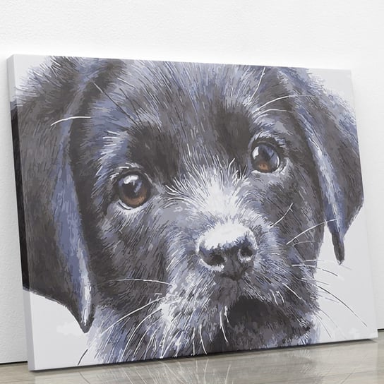 Obraz do malowania po numerach - Smutny pies 50x40 cm ArtOnly