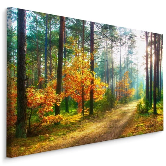 Obraz Do Salonu Wschód Słońca LAS Jesień Natura Drzewa Ozdoba 90cm x 60cm Muralo