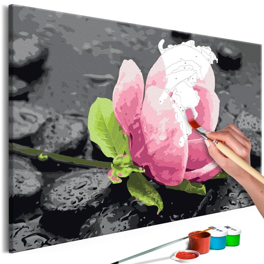 Obraz do samodzielnego malowania - Różowy kwiat i kamienie Różowy 60x40 ARTGEIST