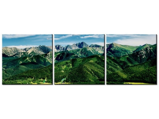 Obraz Dolina w Tatrach, 3 elementy, 120x40 cm Oobrazy