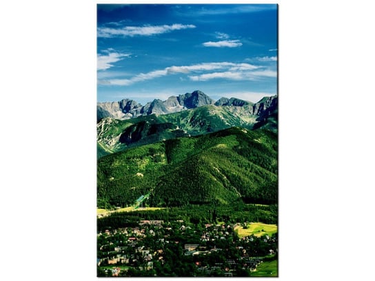 Obraz Dolina w Tatrach, 40x60 cm Oobrazy