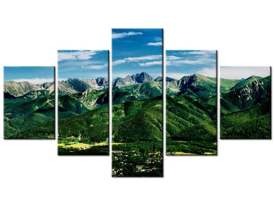 Obraz Dolina w Tatrach, 5 elementów, 125x70 cm Oobrazy