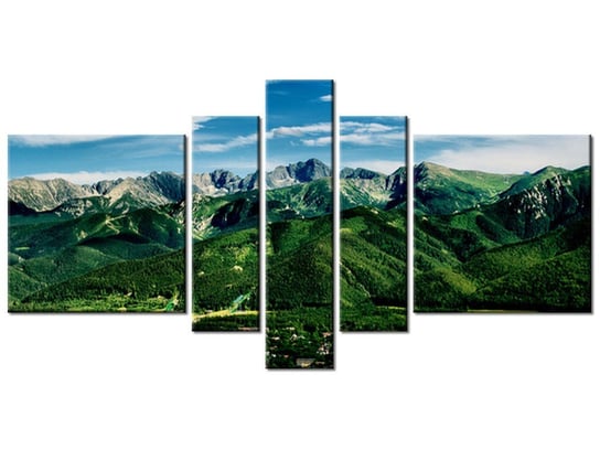 Obraz Dolina w Tatrach, 5 elementów, 160x80 cm Oobrazy
