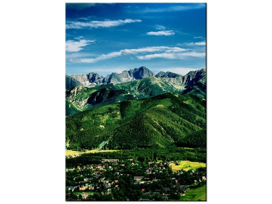 Obraz Dolina w Tatrach, 50x70 cm Oobrazy