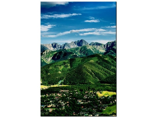 Obraz Dolina w Tatrach, 80x120 cm Oobrazy