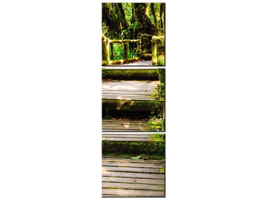 Obraz Drewniany mostek, 3 elementy, 30x90 cm Oobrazy