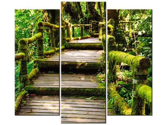 Obraz Drewniany mostek, 3 elementy, 90x80 cm Oobrazy